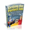 Getting The Perfect Job