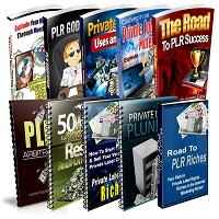 PLR Niche & Profits Reports