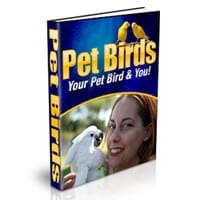 Pet Birds