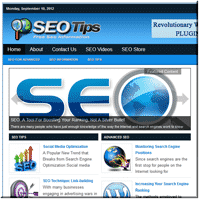 SEO Niche PLR Blog