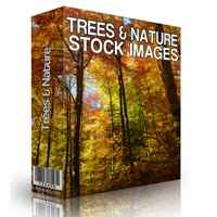 Trees and Nature Stock Images