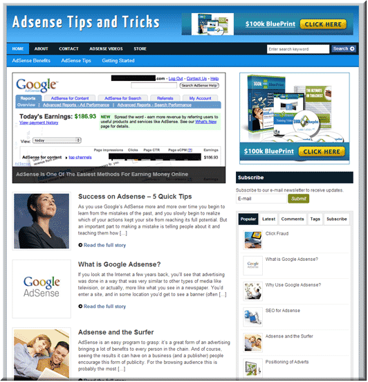 AdSense Niche PLR Blog