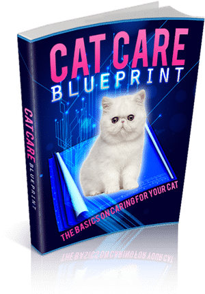 Cat Care Blueprint