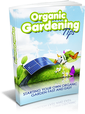 Organic Gardening Tips