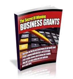 The Secrets Of Winning Business Grants