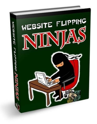 Website Flipping Ninjas