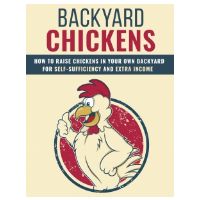 Backyard Chickens