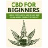 CBD For Beginners