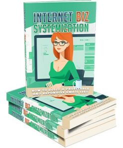 Internet Biz Systemization