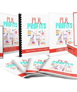 PLR Profits Video Upgrade