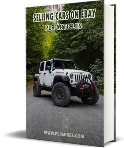 Selling Cars On Ebay PLR Articles