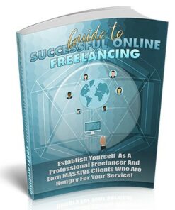 Successful Online Freelancing