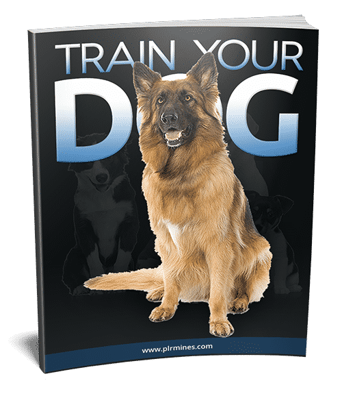 Dog Training Tips